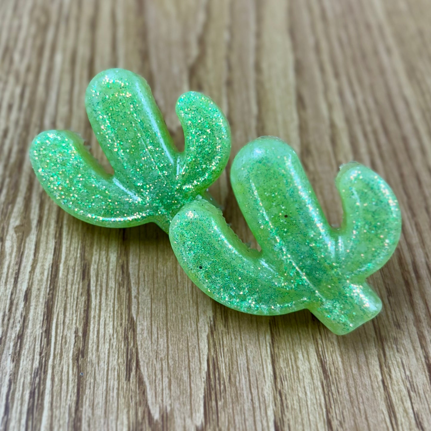 Cactus Vent Clips-Watermelon Leather