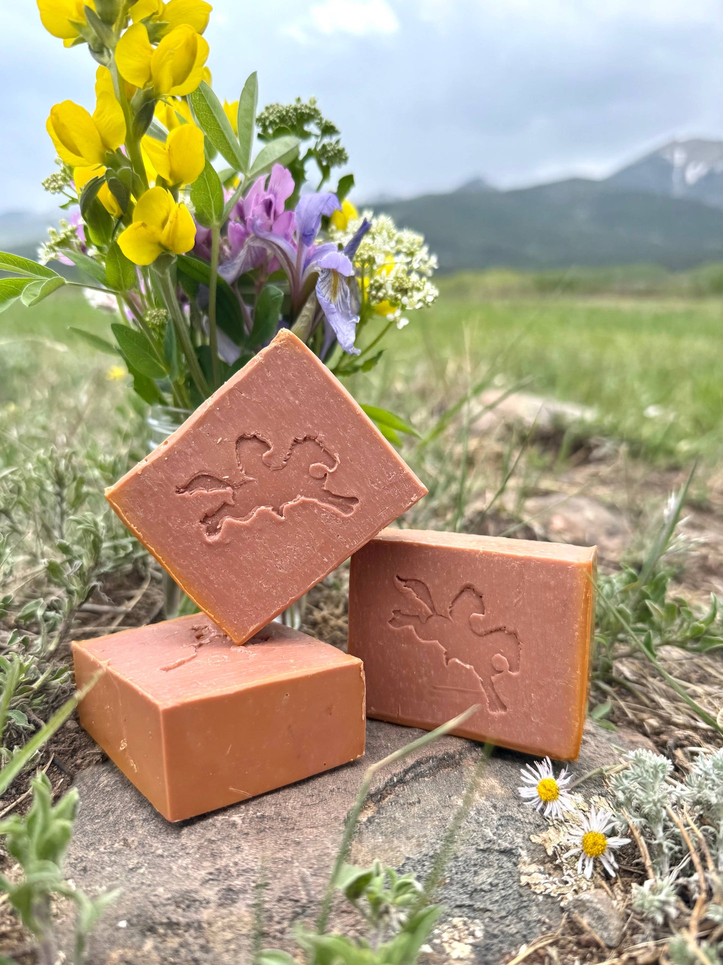 Soap Rosewood & Wildflowers (western boutique)