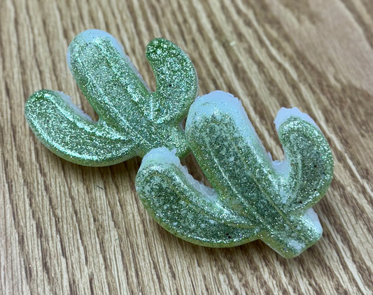 Cactus Vent Clips-Bad Babe