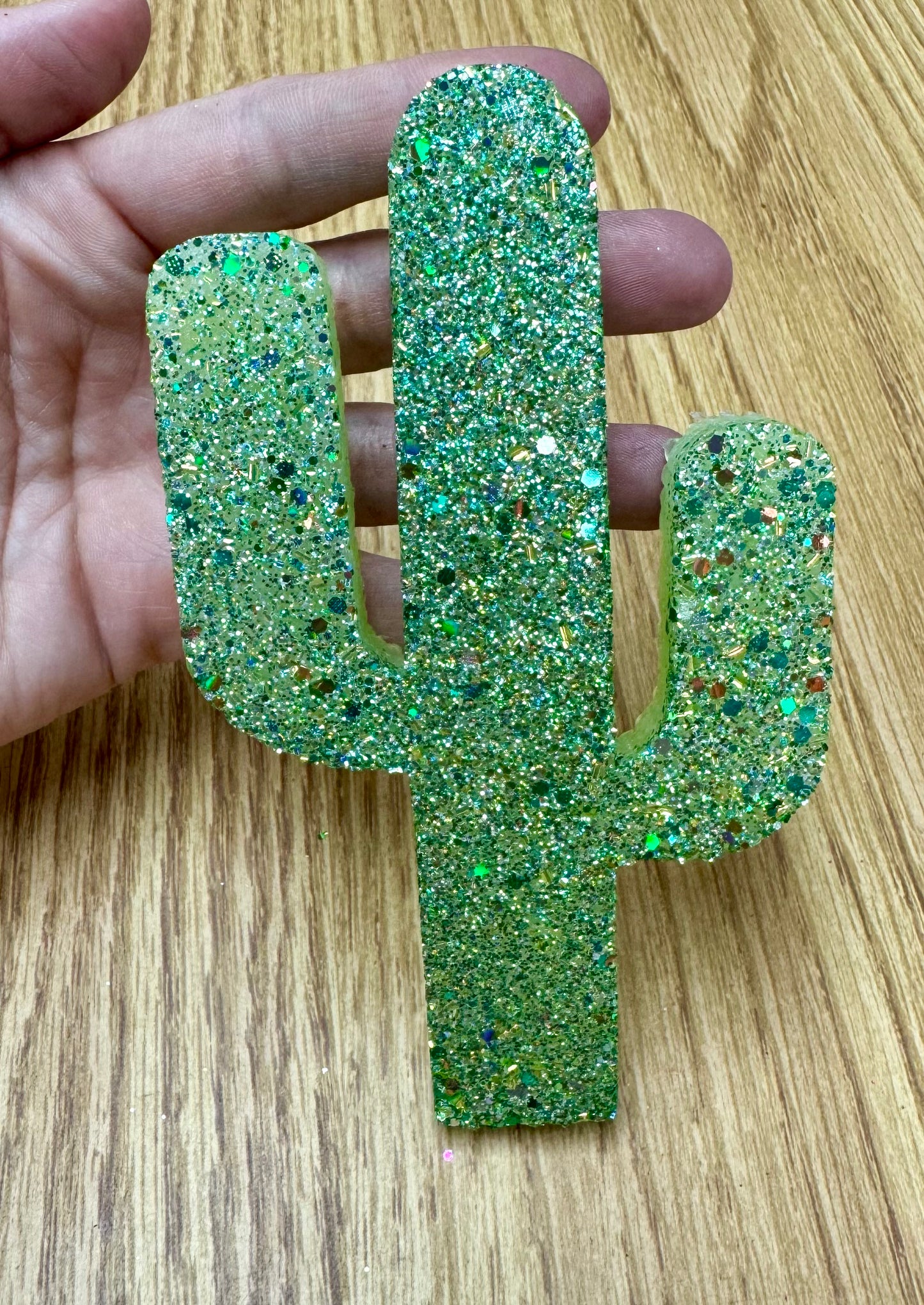 Cactus Freshie- Custom