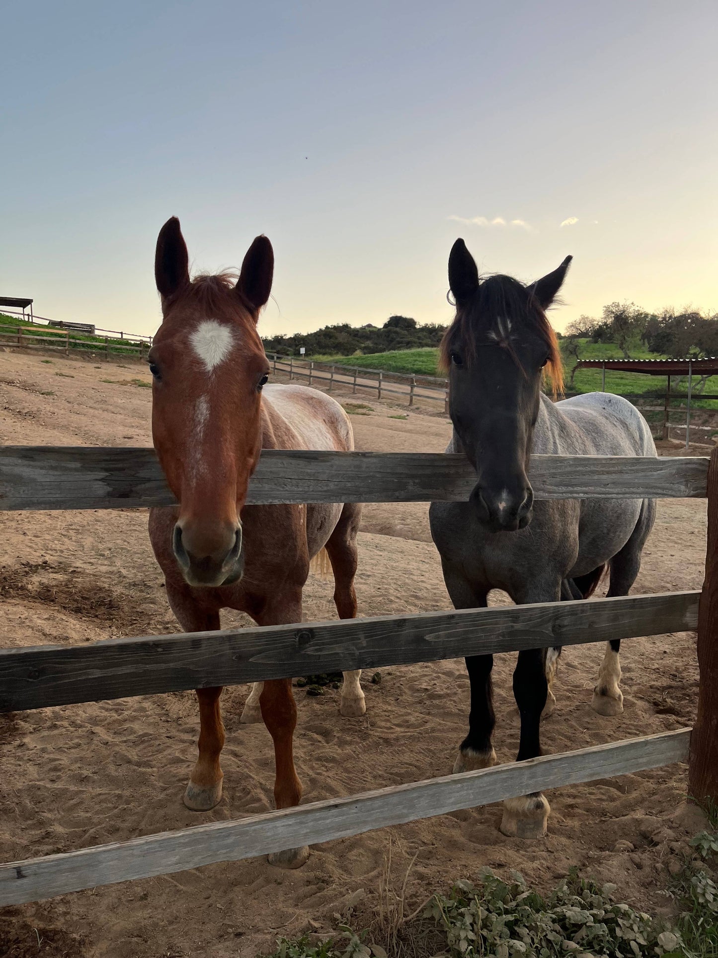 Candle Tobacco + Vanilla Ceramic (western decor)